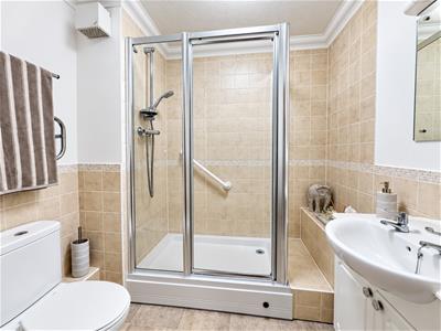 Picture 8